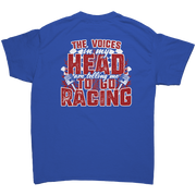 The_Voices_In_My_Head_Are_Telling_Me_To__Royal_Back_Mockup.png